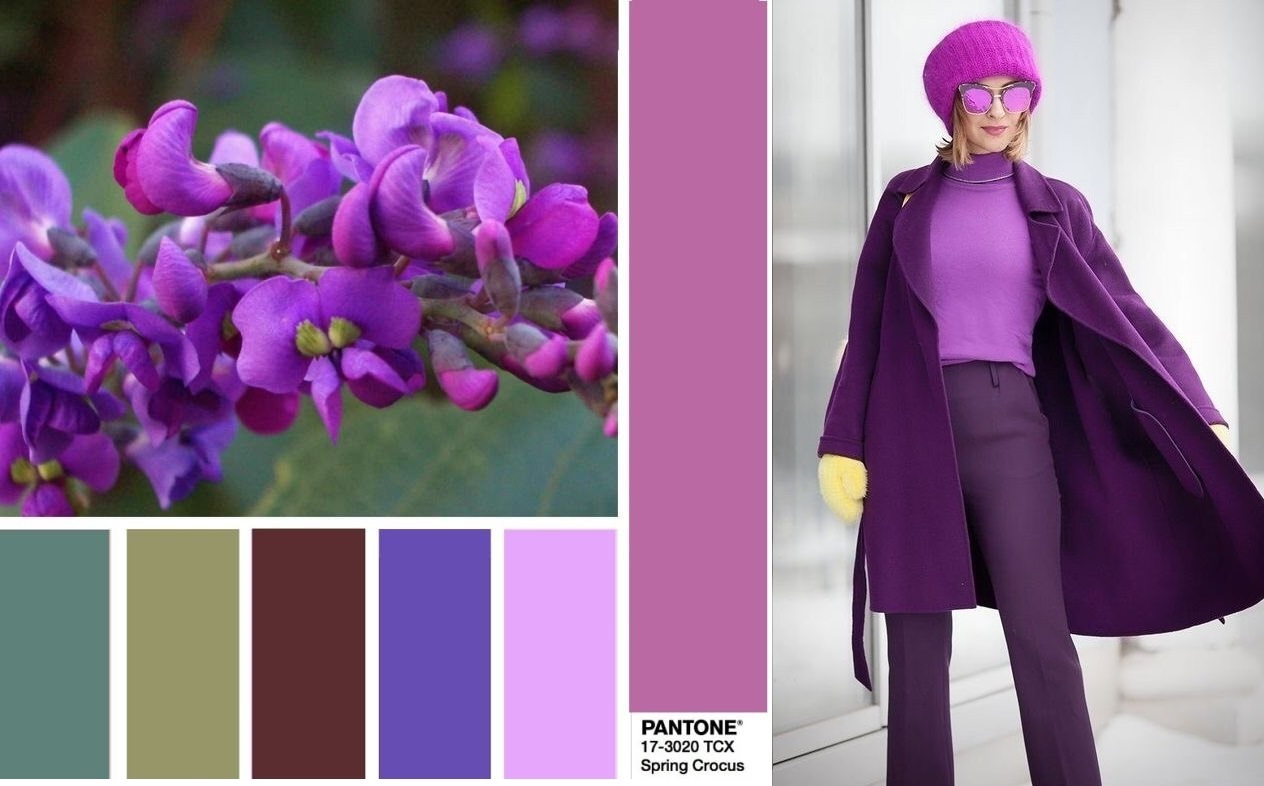 Лиловый цвет какой показать фото. Весенний Крокус цвет пантон. Фиолетовый пантон 2022. Цветовые сочетания с фиолетовым. Цветовые сочетания с сиреневым.